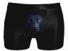 Des Boxers qui vont plaire aux mecs