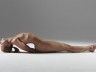 La prof de Yoga la plus sexy au monde